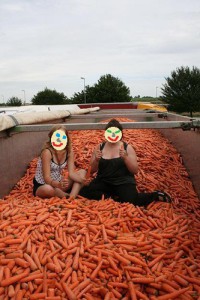 hitchhiking on carrots
