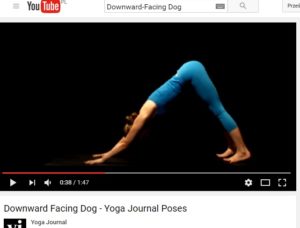 Downward Facing Dog
